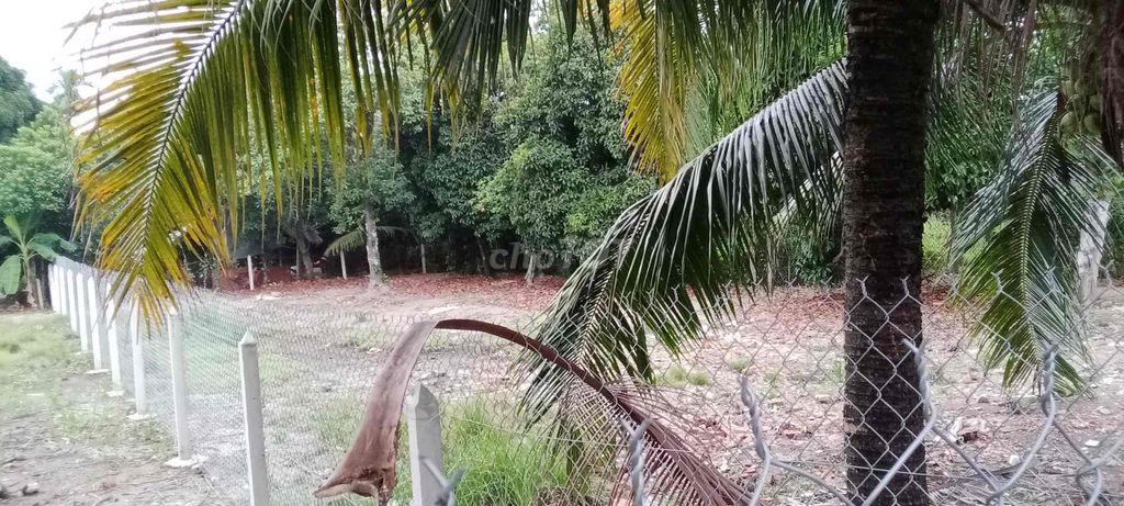 Chính Chủ Bán Đất An Sơn 32 Diện Tích 500m2 Thổ Cư 100m2 Giá 4,6 tỷ