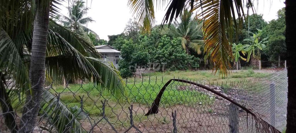 Chính Chủ Bán Đất An Sơn 32 Diện Tích 500m2 Thổ Cư 100m2 Giá 4,6 tỷ
