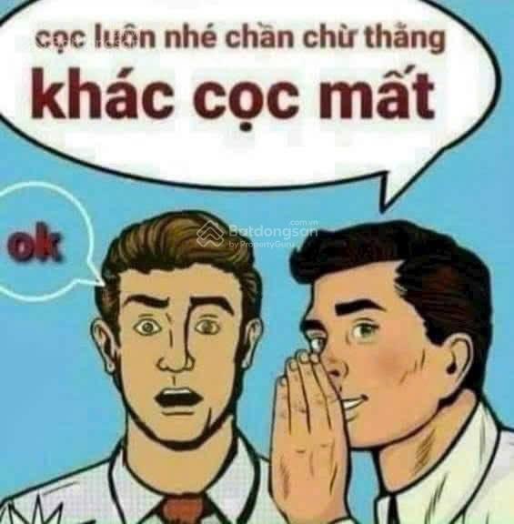 51m phun thổ cư vĩnh ngọc thành phố thông minh , tháp 108 brg  chân cầu nhật tân