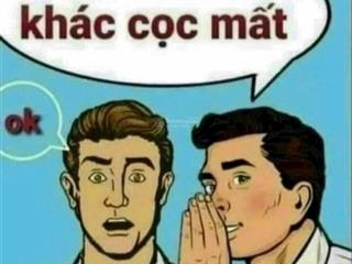 Cần vốn kinh doanh chị gái em cần thanh khoản em hoa hậu đấu giá tây bắc lễ pháp