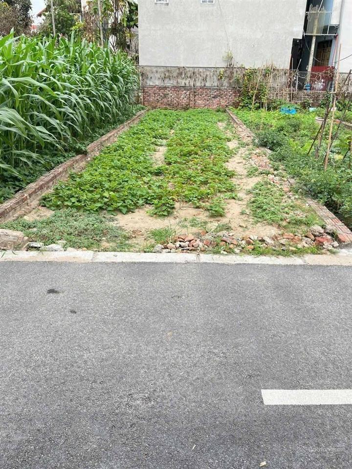 Cục sốc! chỉ với 2tỷ500 quý anh chị sở hũu ngay 45m2 tại tt đông anh  thôn nghĩa lại xã uy nỗ