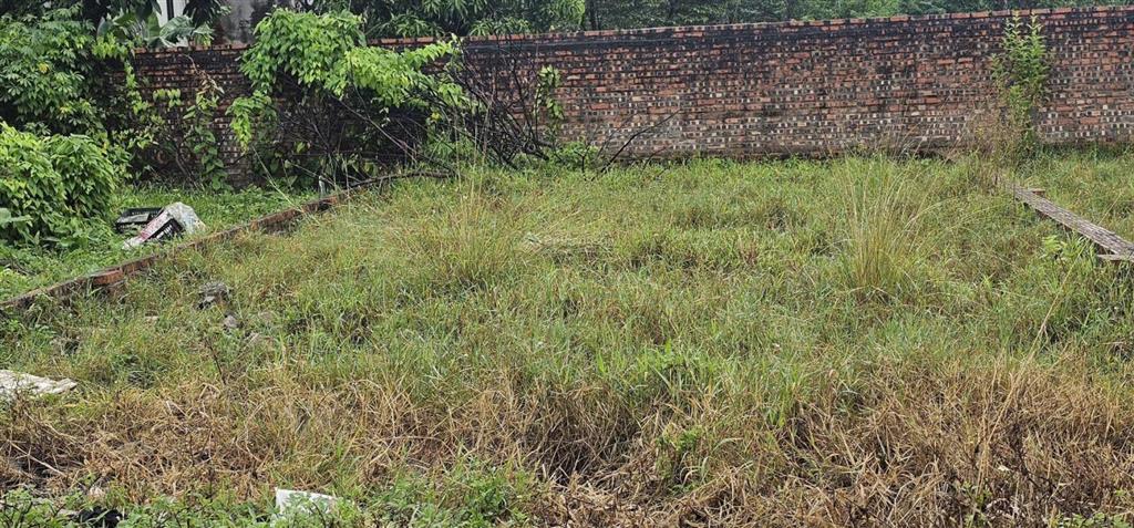 85m2 đất đấu giá x5 nguyên khê cần bán