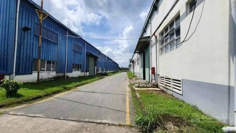 Xưởng long bình tân, diện tích đa dạng, 40k/m, đường cont 24/24