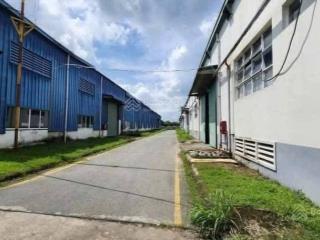 Xưởng long bình tân, diện tích đa dạng, 40k/m, đường cont 24/24