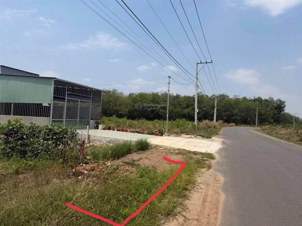 Xưởng tân hiệp đất 5000m2 xưởng 700m2 giá 55 triệu/tháng