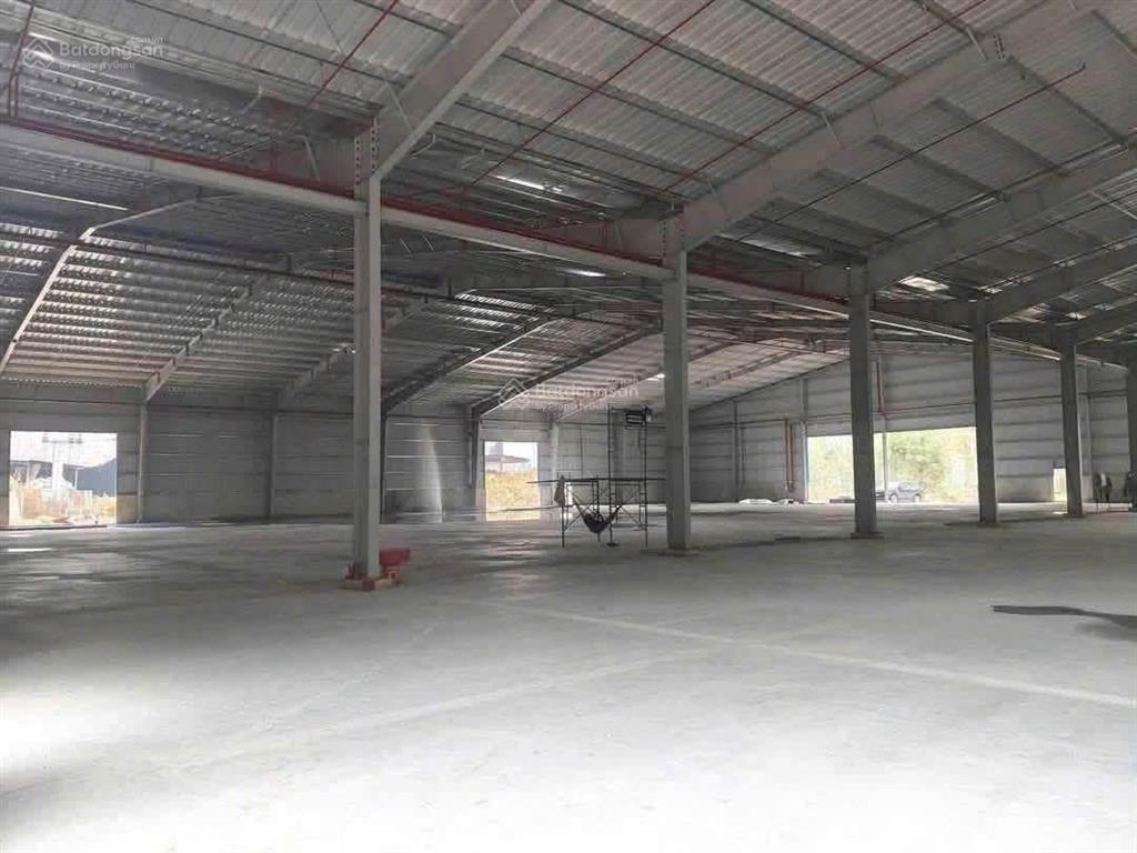 Xưởng bàu bàng 5000m đất 1800m xưởng giá 100 triệu/tháng