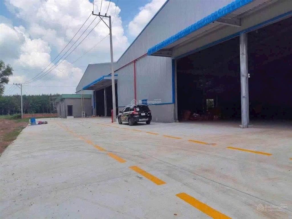 Xưởng bàu bàng 5000m đất 1800m xưởng giá 100 triệu/tháng