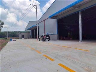 Xưởng bàu bàng 5000m đất 1800m xưởng giá 100 triệu/tháng
