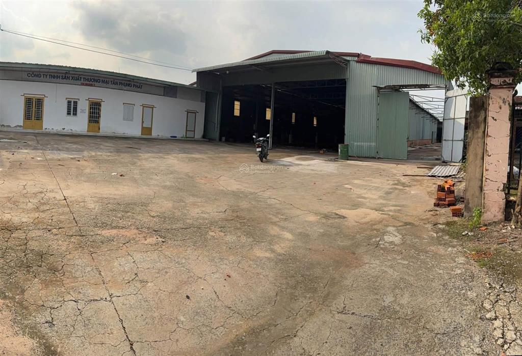 Xưởng mỹ phước bến cát 4500m2 giá siêu rẻ 50 triệu/tháng