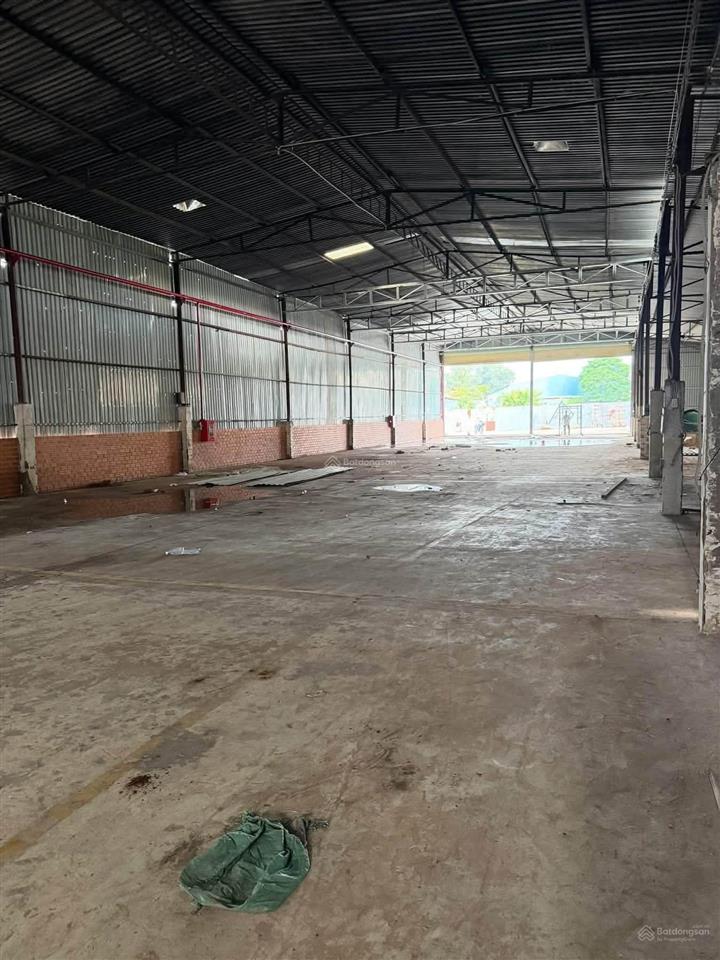 Xưởng mỹ phước bến cát 4500m2 giá siêu rẻ 50 triệu/tháng