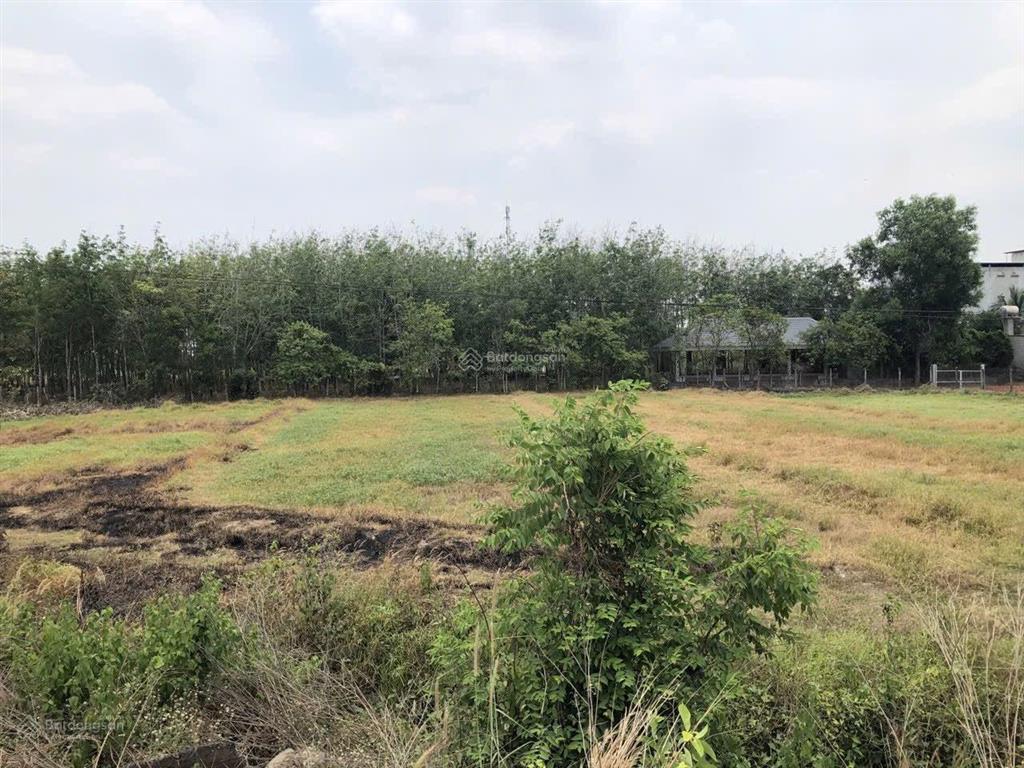 Bán đất 1.015m2 full thổ cư an ninh tây, đức hòa