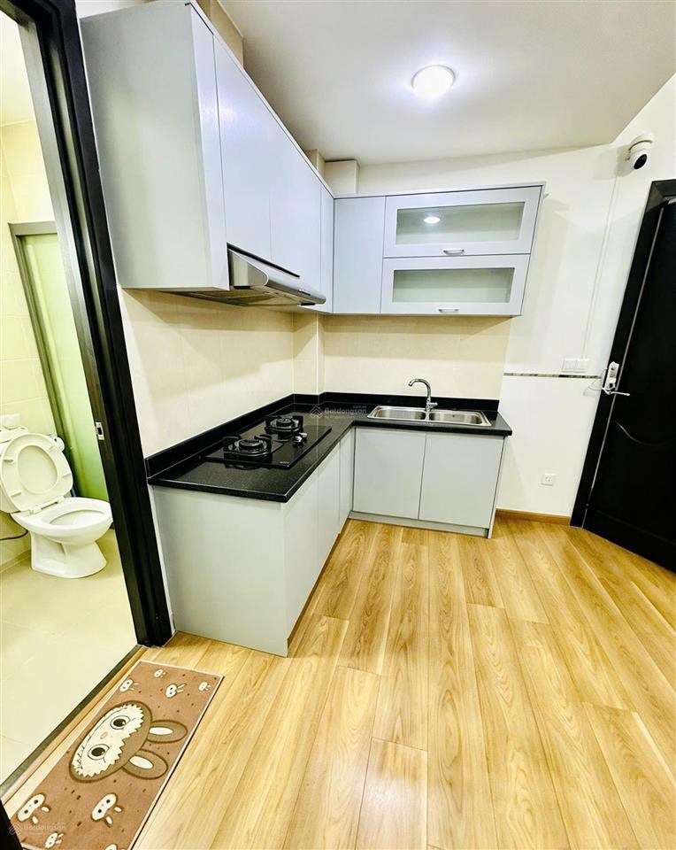 Chỉ 3 tỷ sở hữu căn 1pn  50m2 carillon 2 tân phú shr  giá tốt