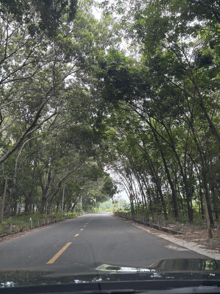 Bán đất đầu tư vĩnh tân quỹ đất lớn giá tốt