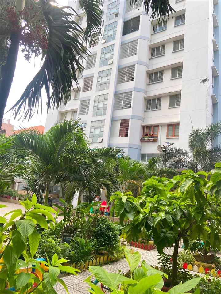 Cao ốc nguyễn kim quận 10 54m có thang máy  giá 4,15 tỷ