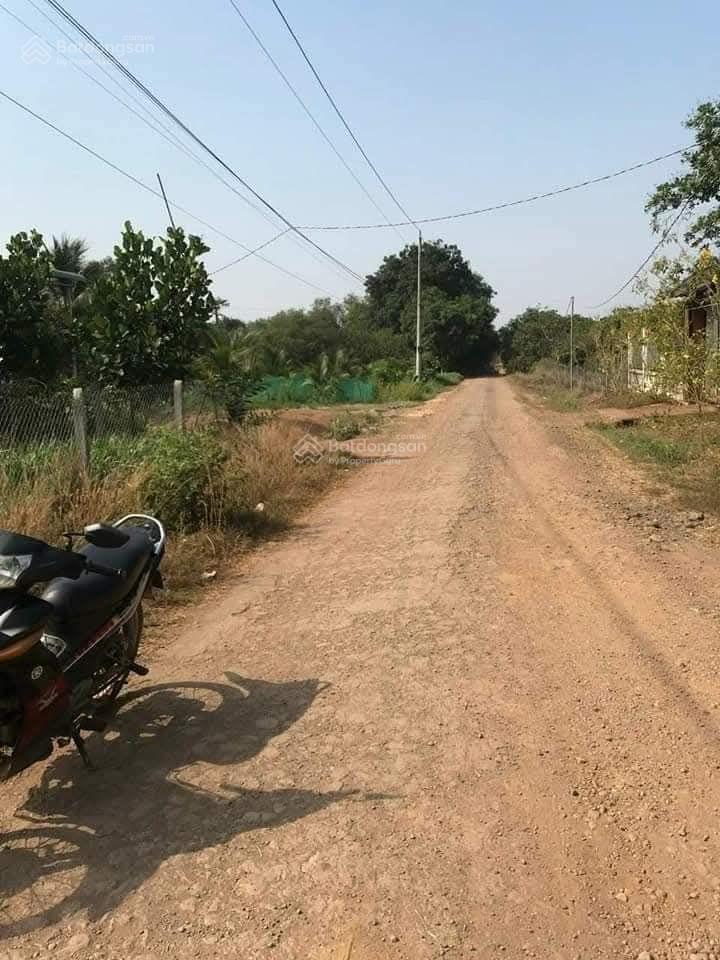 Đất dành cho nhà đầu tư, giá 10.5 tỷ có hỗ trợ tách bán lẻ từng sào, ai mua hết bán hết