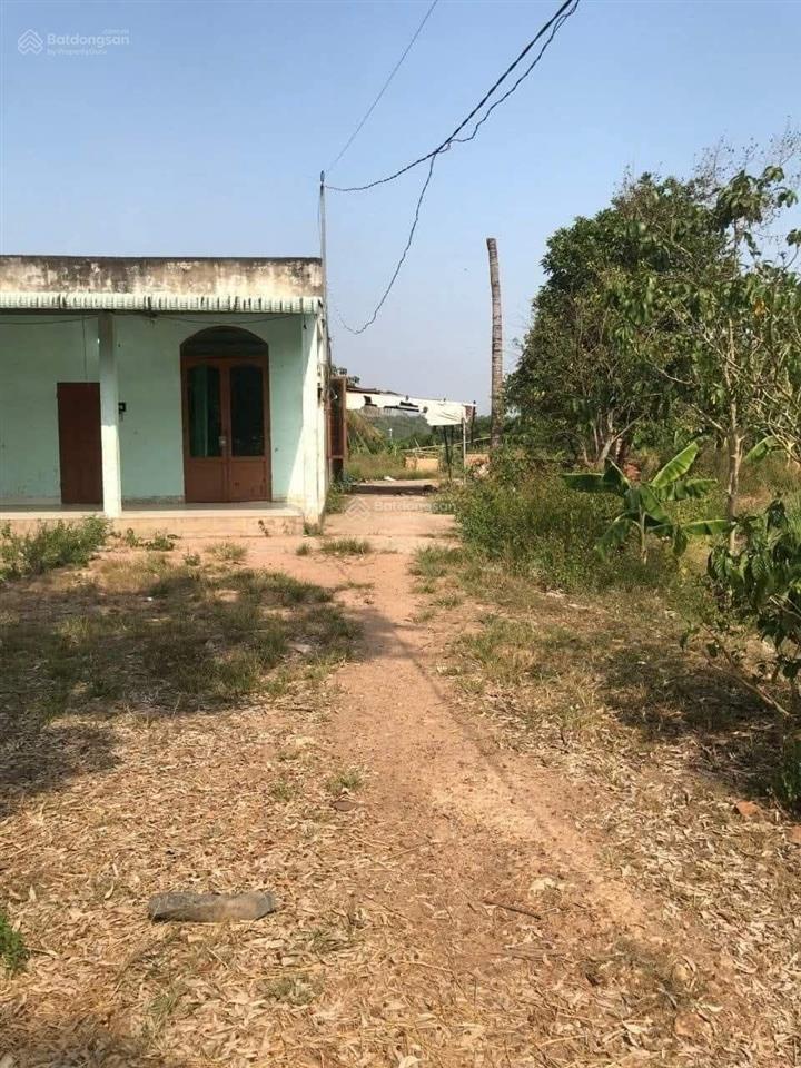 Đất dành cho nhà đầu tư, giá 10.5 tỷ có hỗ trợ tách bán lẻ từng sào, ai mua hết bán hết