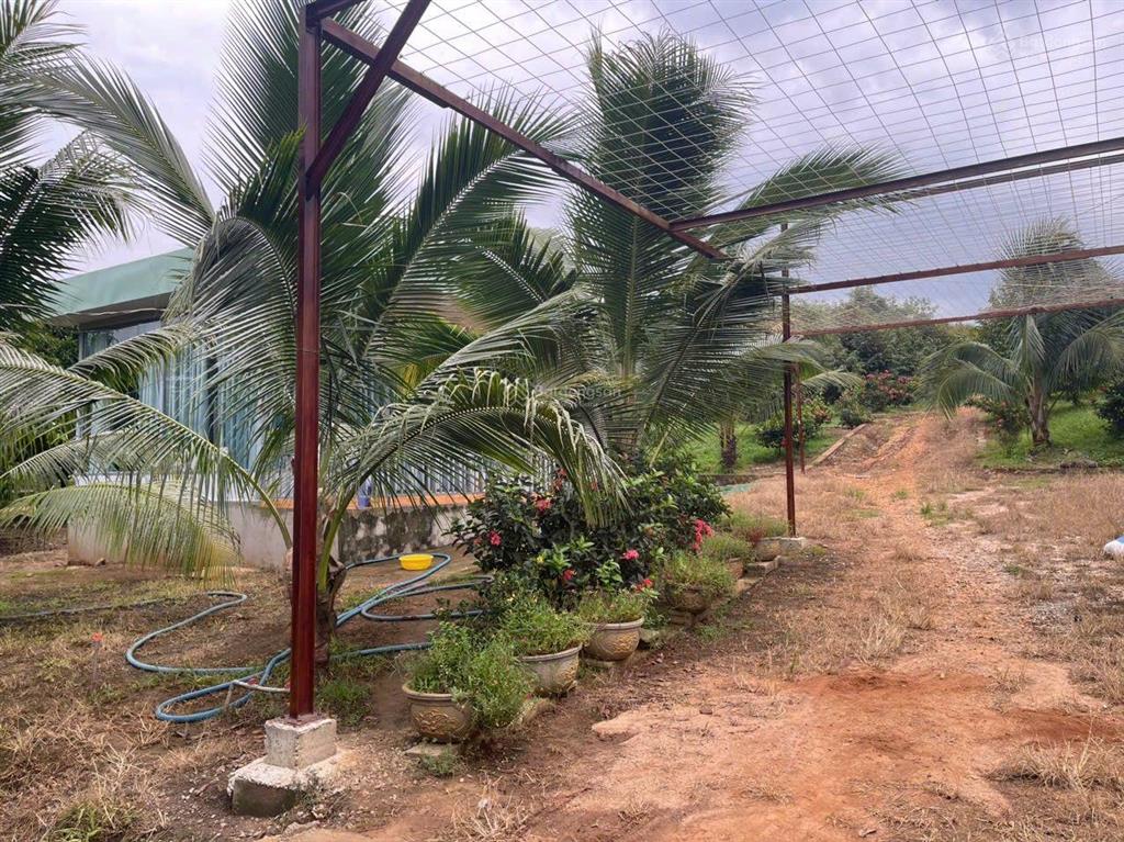 Bán 31,000m2 (3 mẫu 1) quy hoạch đất skc (3 mặt tiền) khu vực xã hố nai 3 sát bên kcn sông mây