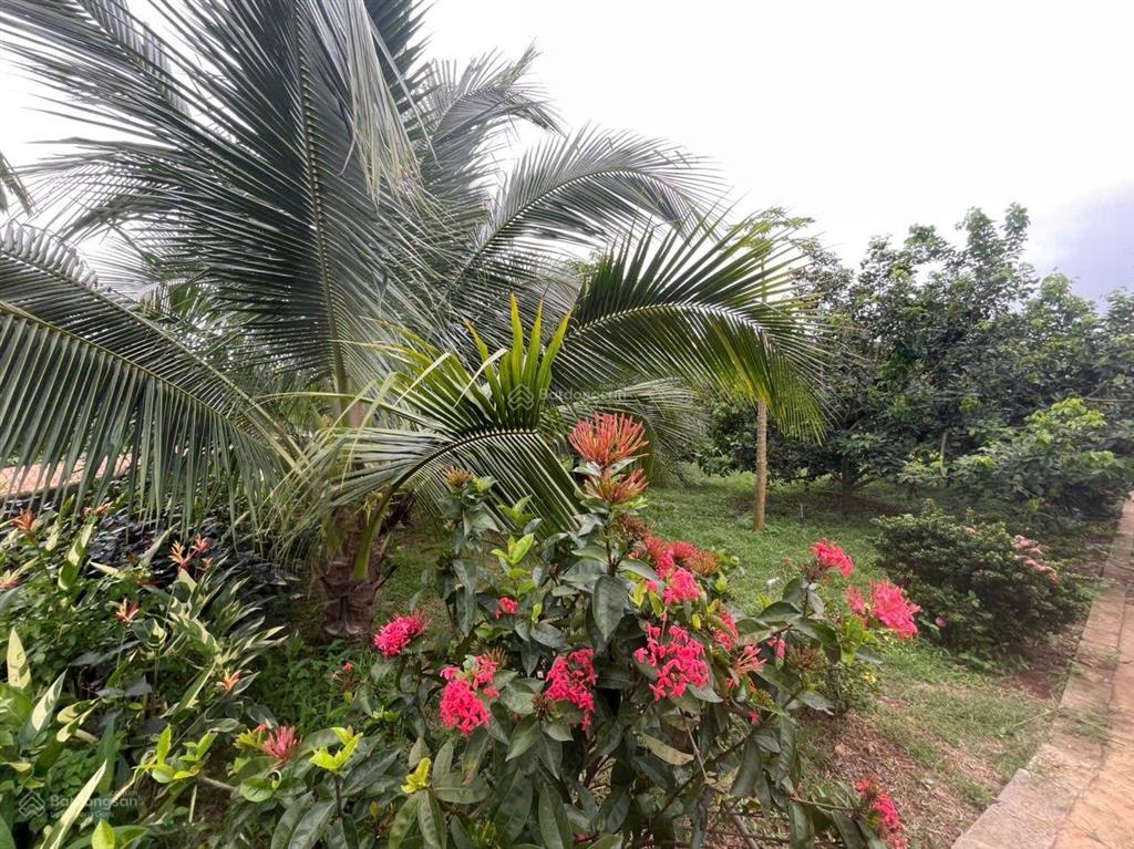 Bán 31,000m2 (3 mẫu 1) quy hoạch đất skc (3 mặt tiền) khu vực xã hố nai 3 sát bên kcn sông mây