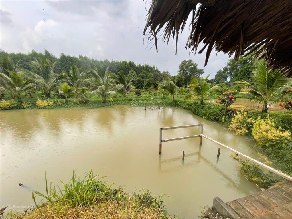 Bán 31,000m2 (3 mẫu 1) quy hoạch đất skc (3 mặt tiền) khu vực xã hố nai 3 sát bên kcn sông mây