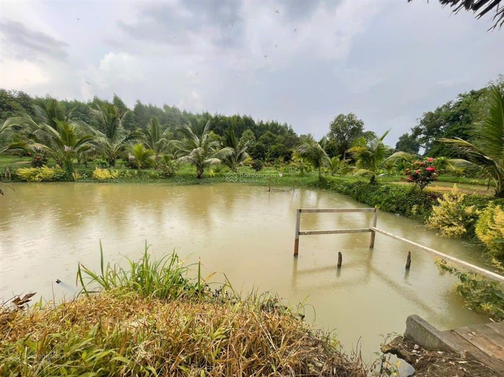 Bán 31,000m2 (3 mẫu 1) quy hoạch đất skc (3 mặt tiền) khu vực xã hố nai 3 sát bên kcn sông mây