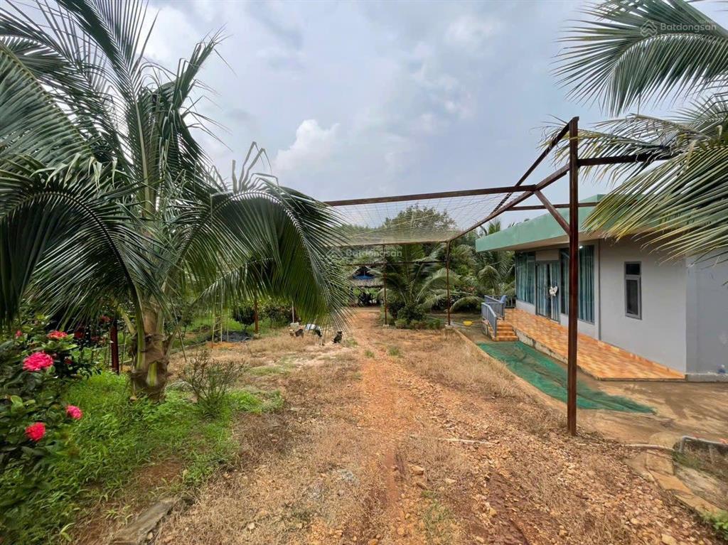 Bán 31,000m2 (3 mẫu 1) quy hoạch đất skc (3 mặt tiền) khu vực xã hố nai 3 sát bên kcn sông mây