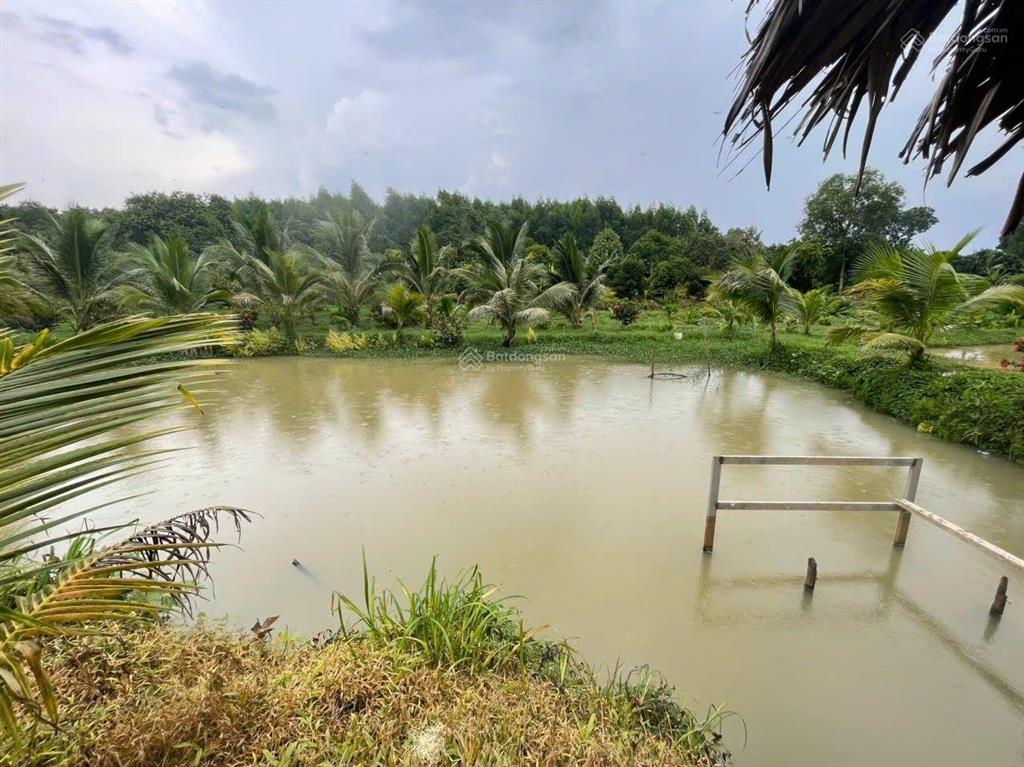 Bán 31,000m2 (3 mẫu 1) quy hoạch đất skc (3 mặt tiền) khu vực xã hố nai 3 sát bên kcn sông mây