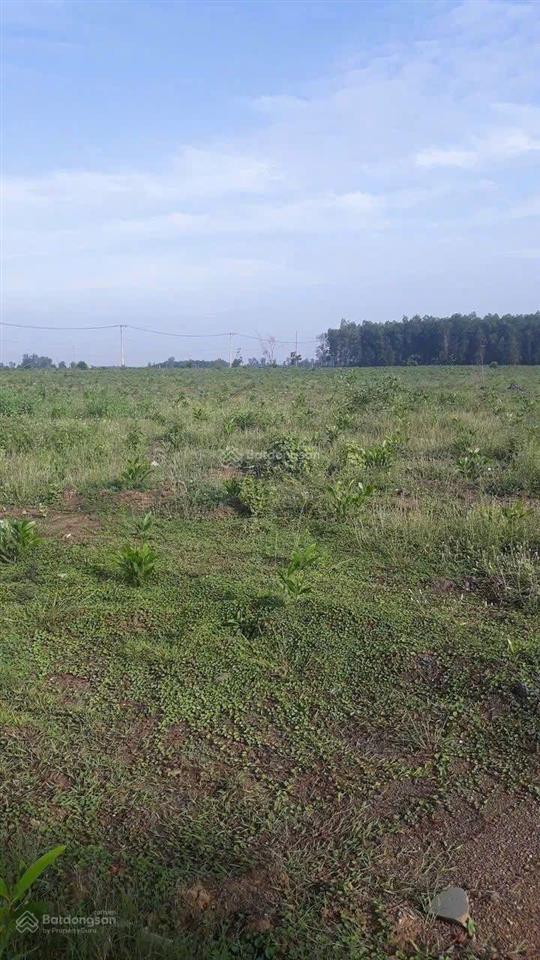 Bán 31,000m2 (3 mẫu 1) quy hoạch đất skc (3 mặt tiền) khu vực xã hố nai 3 sát bên kcn sông mây