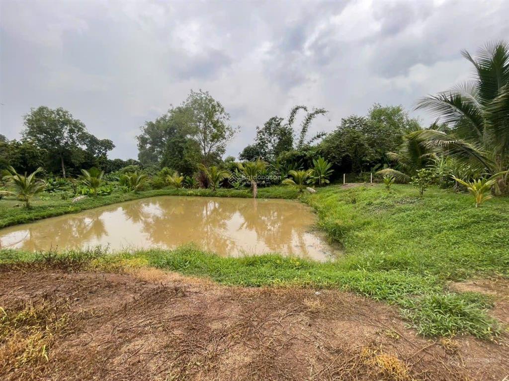 Bán 31,000m2 (3 mẫu 1) quy hoạch đất skc (3 mặt tiền) khu vực xã hố nai 3 sát bên kcn sông mây