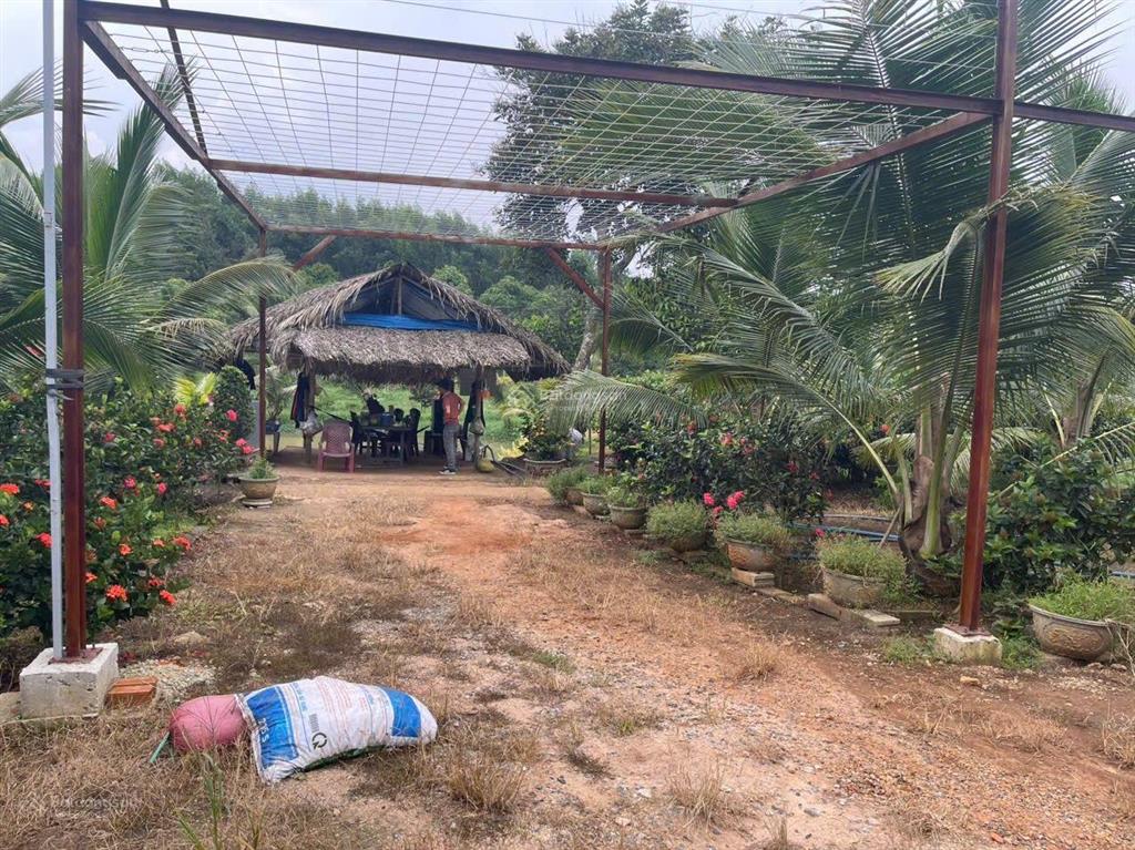 Bán 31,000m2 (3 mẫu 1) quy hoạch đất skc (3 mặt tiền) khu vực xã hố nai 3 sát bên kcn sông mây