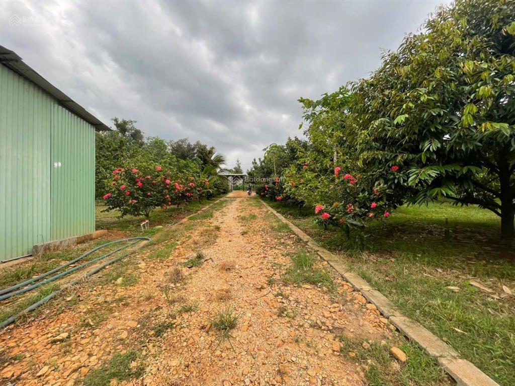 Bán 31,000m2 (3 mẫu 1) quy hoạch đất skc (3 mặt tiền) khu vực xã hố nai 3 sát bên kcn sông mây