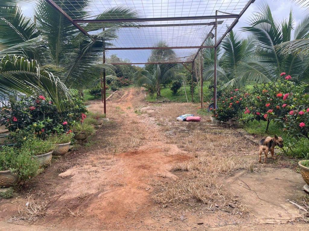 Bán 31,000m2 (3 mẫu 1) quy hoạch đất skc (3 mặt tiền) khu vực xã hố nai 3 sát bên kcn sông mây