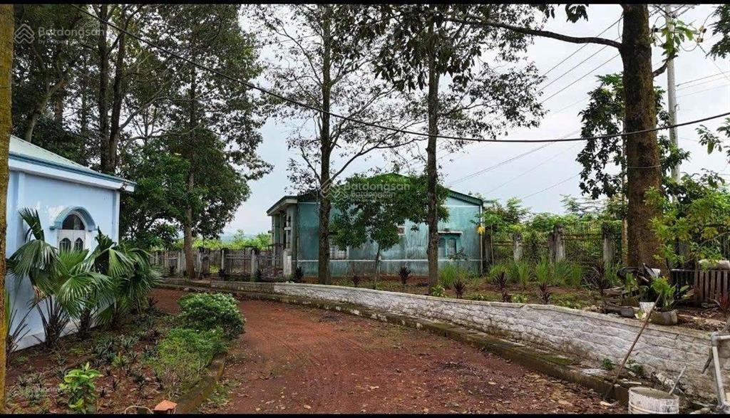 Bán nhà xưởng thống nhất, đồng nai. diện tích 22.300m. mặt tiền 120m. đất sản xuất, đóng tiền