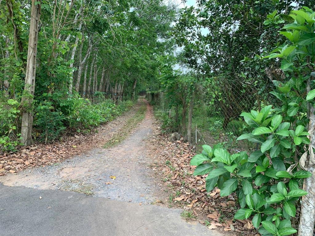 Bán đất vườn góc 2 mặt tiền đẹp trị an, đồng nai .
diện tích 10.300m. số riêng có 300 m thổ c