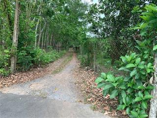 Bán đất vườn góc 2 mặt tiền đẹp trị an, đồng nai .
diện tích 10.300m. số riêng có 300 m thổ c