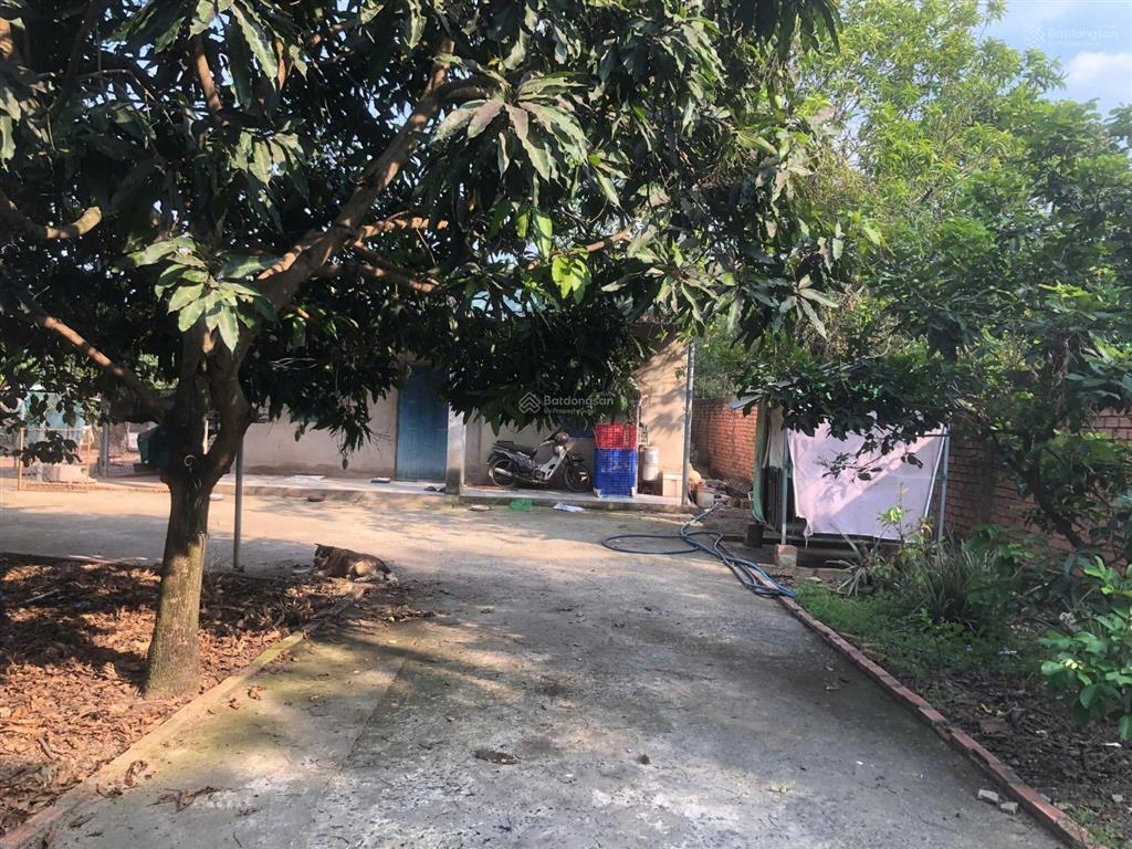 Bán đất vườn góc 2 mặt tiền đẹp trị an, đồng nai .
diện tích 10.300m. số riêng có 300 m thổ c