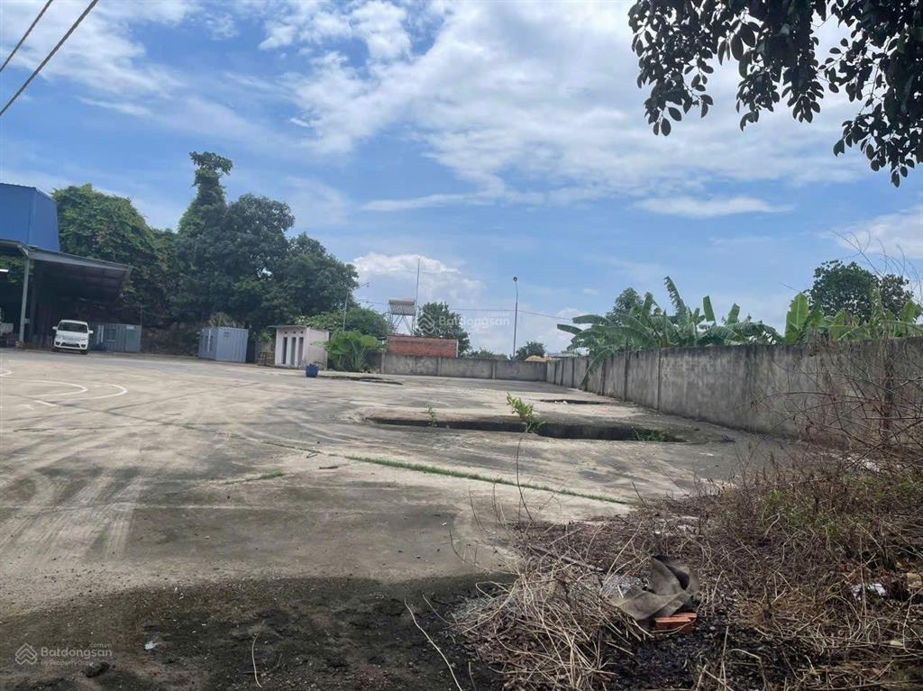 Cho thuê 1,4 ha (46x300m). bãi nền bê tông (đất trống bằng phẳng) phước tân, đồng nai