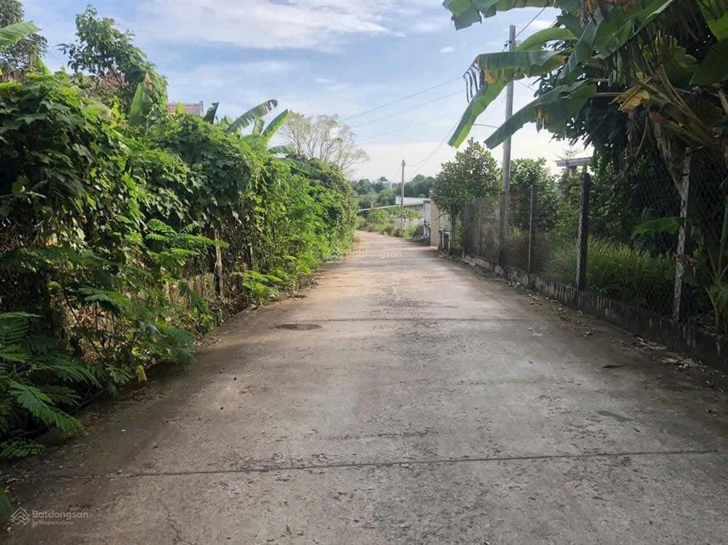 Bán lô đất biệt thự, p. tân triều, đồng nai, dt 2200m2. (45x50m), có 200m2 thổ cư