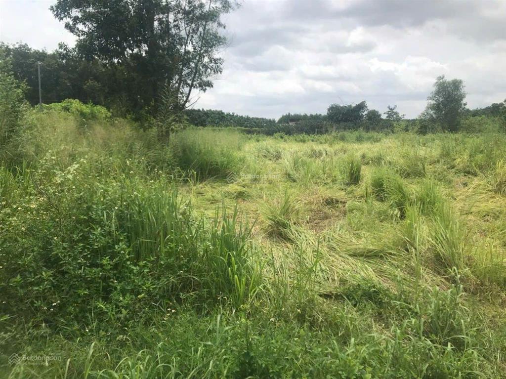 Bán lô đất biệt thự, p. tân triều, đồng nai, dt 2200m2. (45x50m), có 200m2 thổ cư