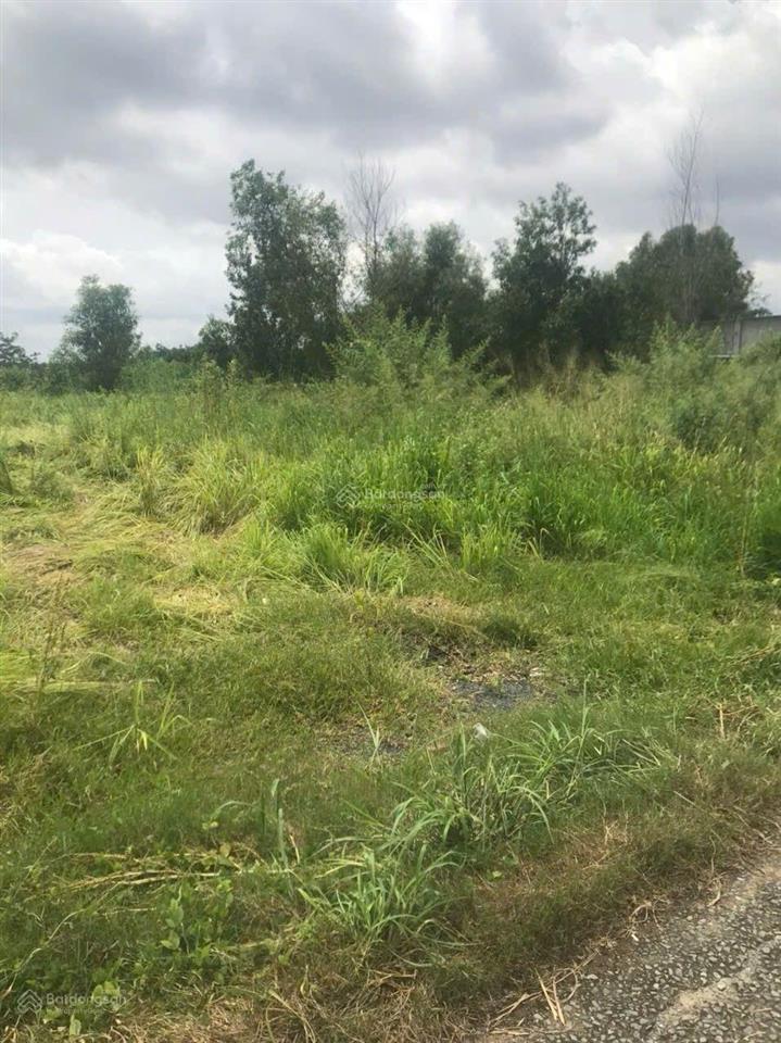 Bán lô đất biệt thự, p. tân triều, đồng nai, dt 2200m2. (45x50m), có 200m2 thổ cư