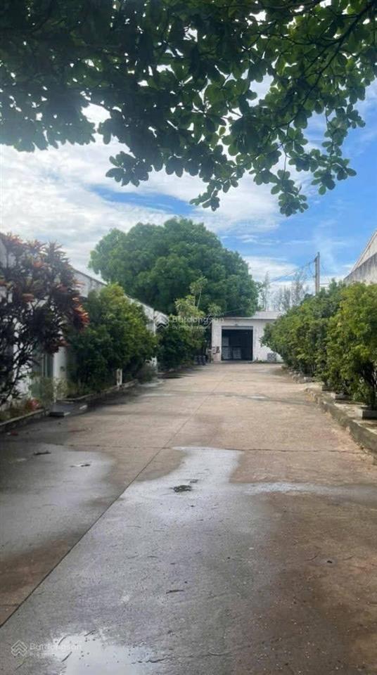 Chuyển nhượng xưởng tại long thành, đồng nai. diện tích đất 1,7ha đã lên full skc. giá chỉ 75 tỷ