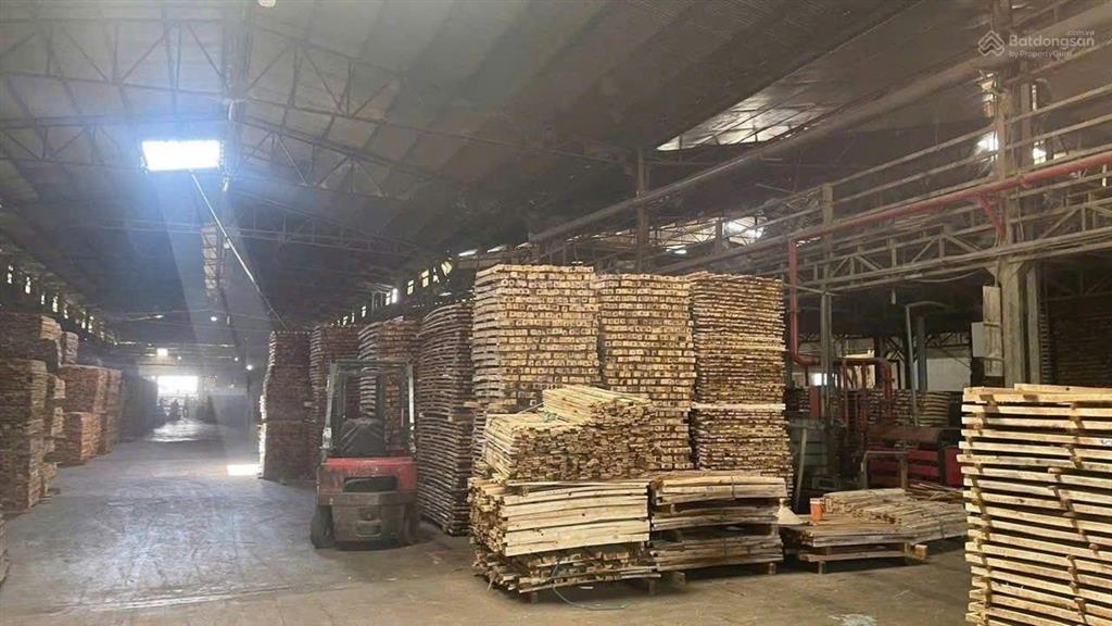Cho thuê nhà xưởng chuyển giao toàn bộ máy móc công nghệ mối lái và công nhân đang làm việc tại ph