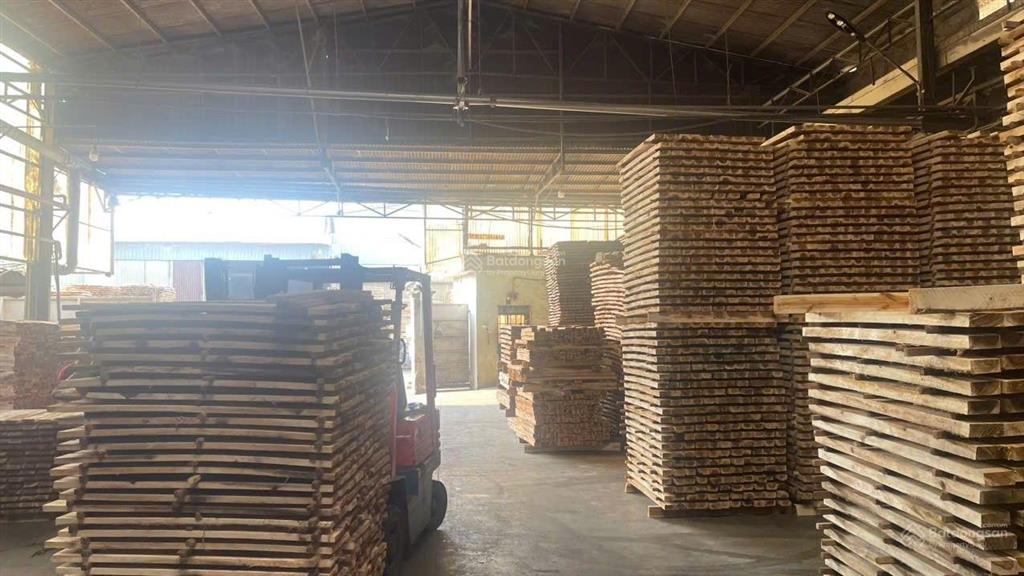 Cho thuê nhà xưởng chuyển giao toàn bộ máy móc công nghệ mối lái và công nhân đang làm việc tại ph