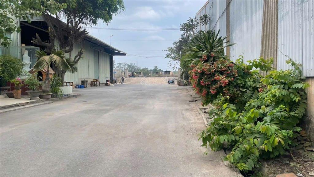 Xưởng thuê hố nai 3, đồng nai, tdt 9000m2.
dt xưởng gần 4000m2, 289tr/tháng gồm có hai kho