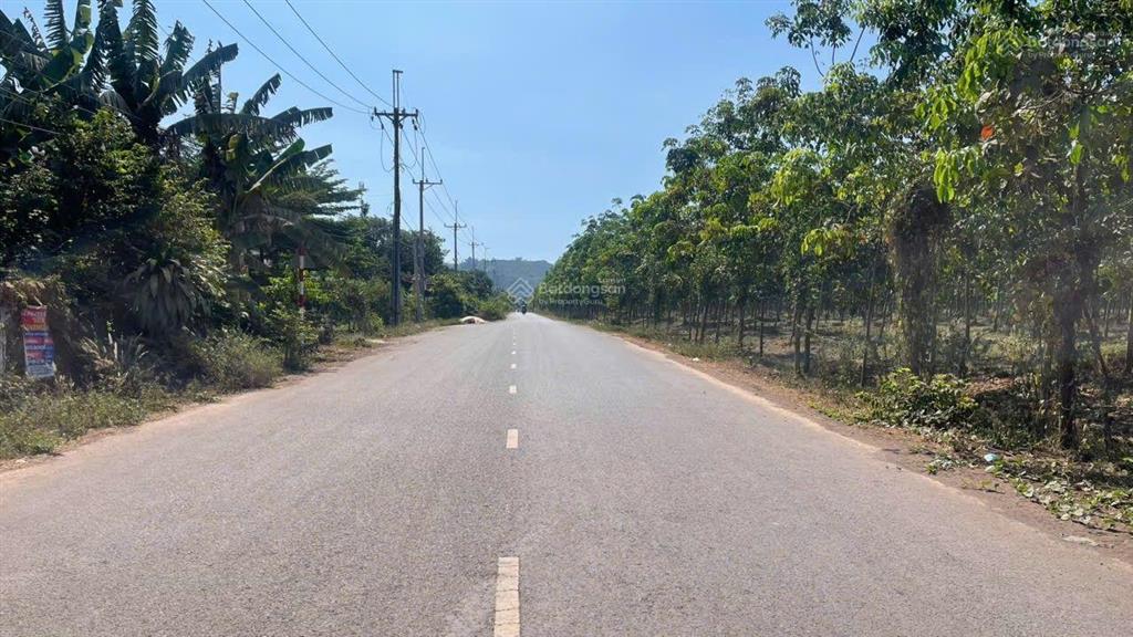 Cần bán gấp lô đất skc liền kề kcn xuân que. sát kcn dầu giây.thống nhất, đồng nai.
giá bán 19 t