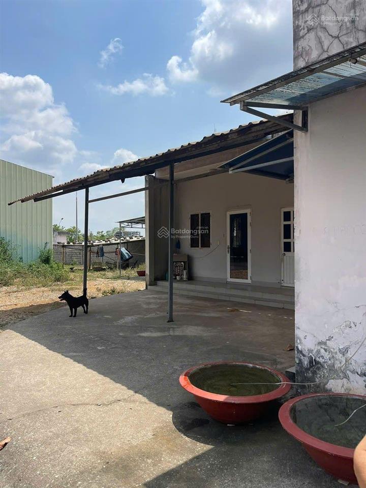 B.án nhà xưởng pháp lý chuẩn thuộc cụm cn hắc dịch phú mỹ . hcm tổng diện tích 6500m2 ,dt x