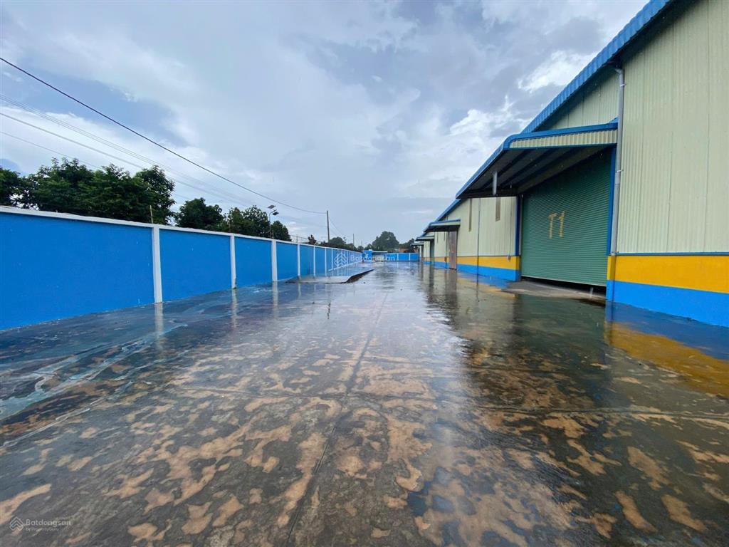 Cho thuê kho xưởng gần cảng cái mép, hắc dịch, phú mỹ, tp. hcm