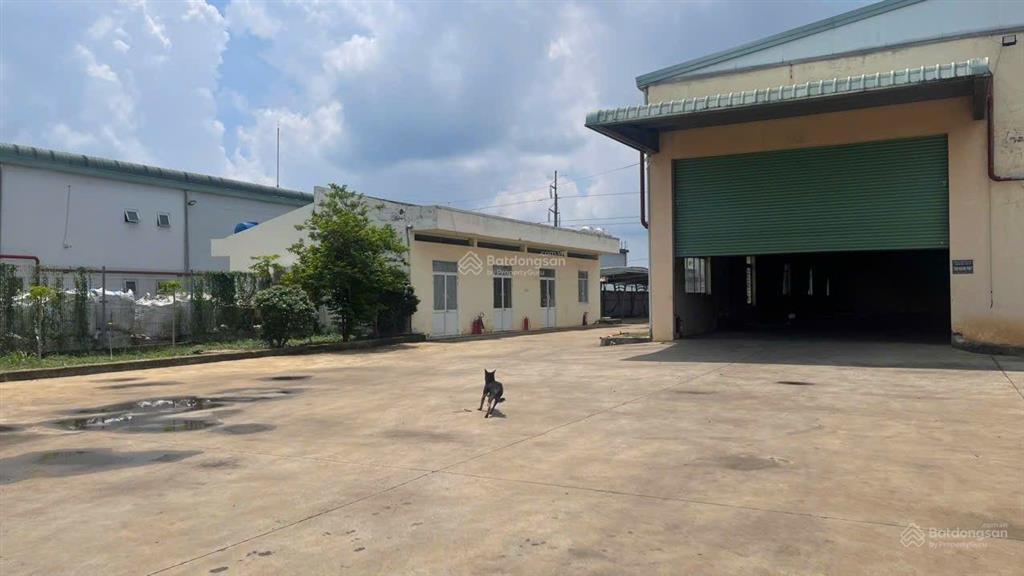Cho thuê xưởng tại kcn long khánh, đồng nai. tổng diện tích khuôn viên 5500m2