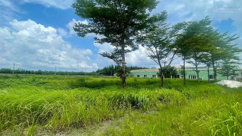 50.000m2, 5ha, 3 mặt tiền đường xe công, long thành đồng nai, sổ riêng có 300m2 thổ cư và 5000