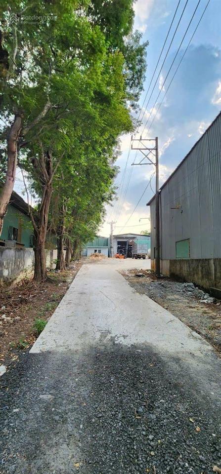 Cho thuê kho xưởng 2.500m an điền, bến cát. giá thuê 140 triệu/tháng. sân rộng xe tải, xe