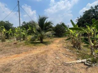Cho thuê xưởng giá rẻ tân an, đồng nai. diện tích khuôn viên 25.000 m2 (2ha5)